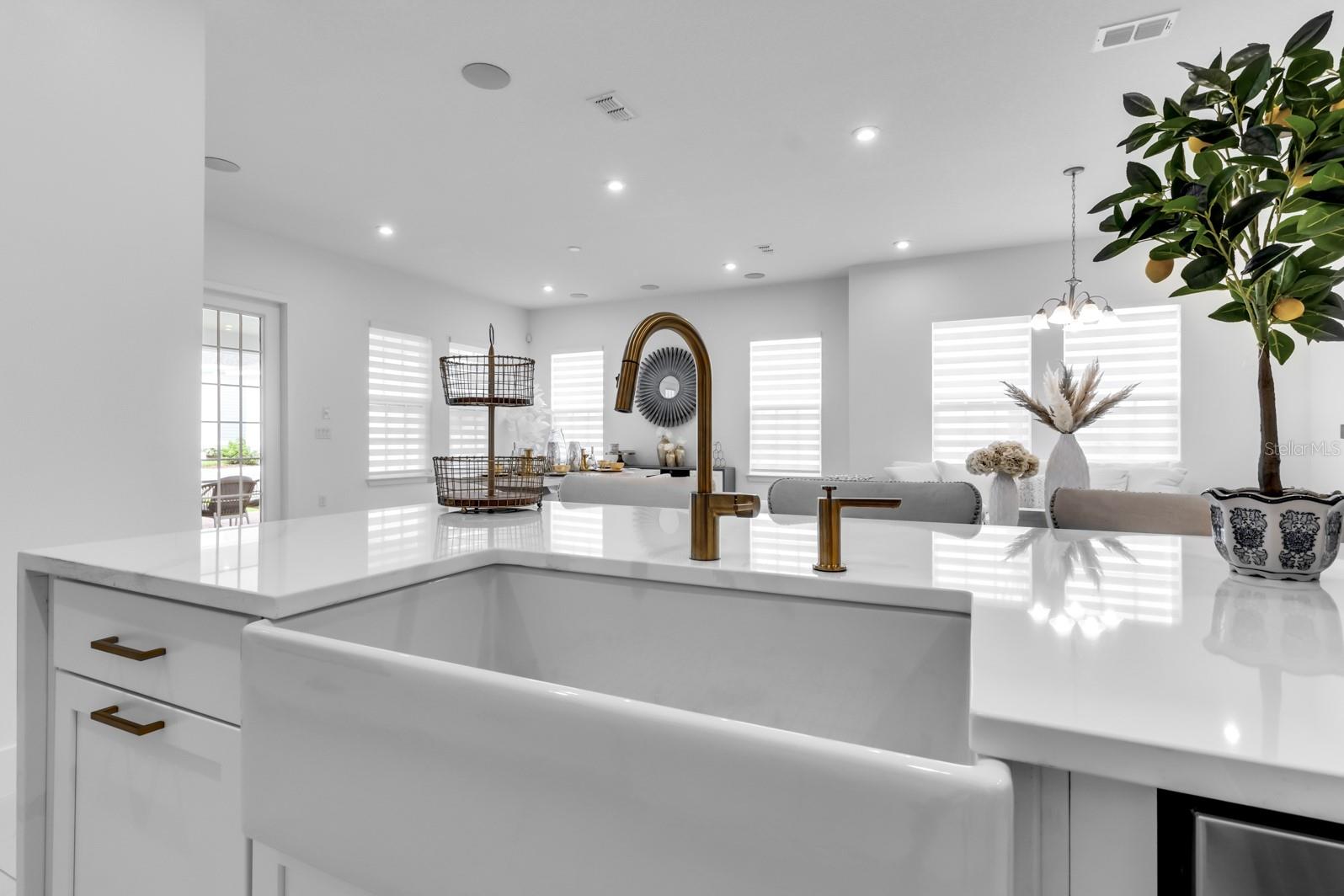 CELEBRATION ISLAND VILLAGE - Residential