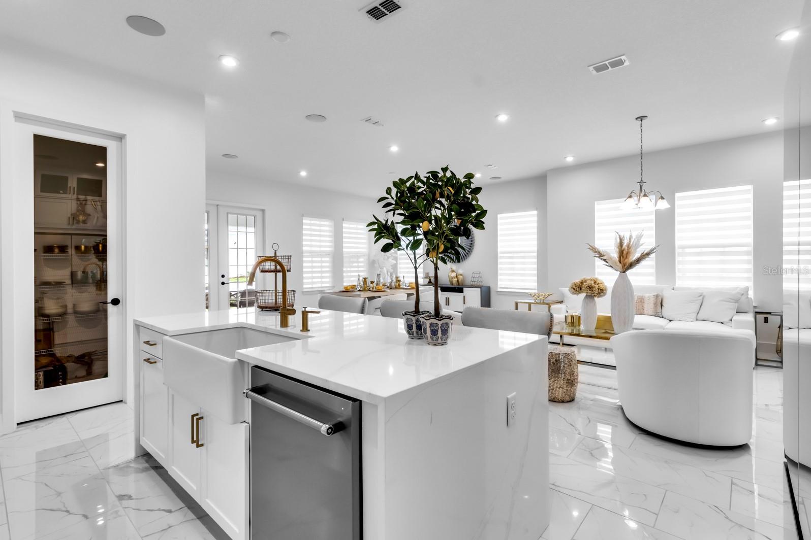 CELEBRATION ISLAND VILLAGE - Residential