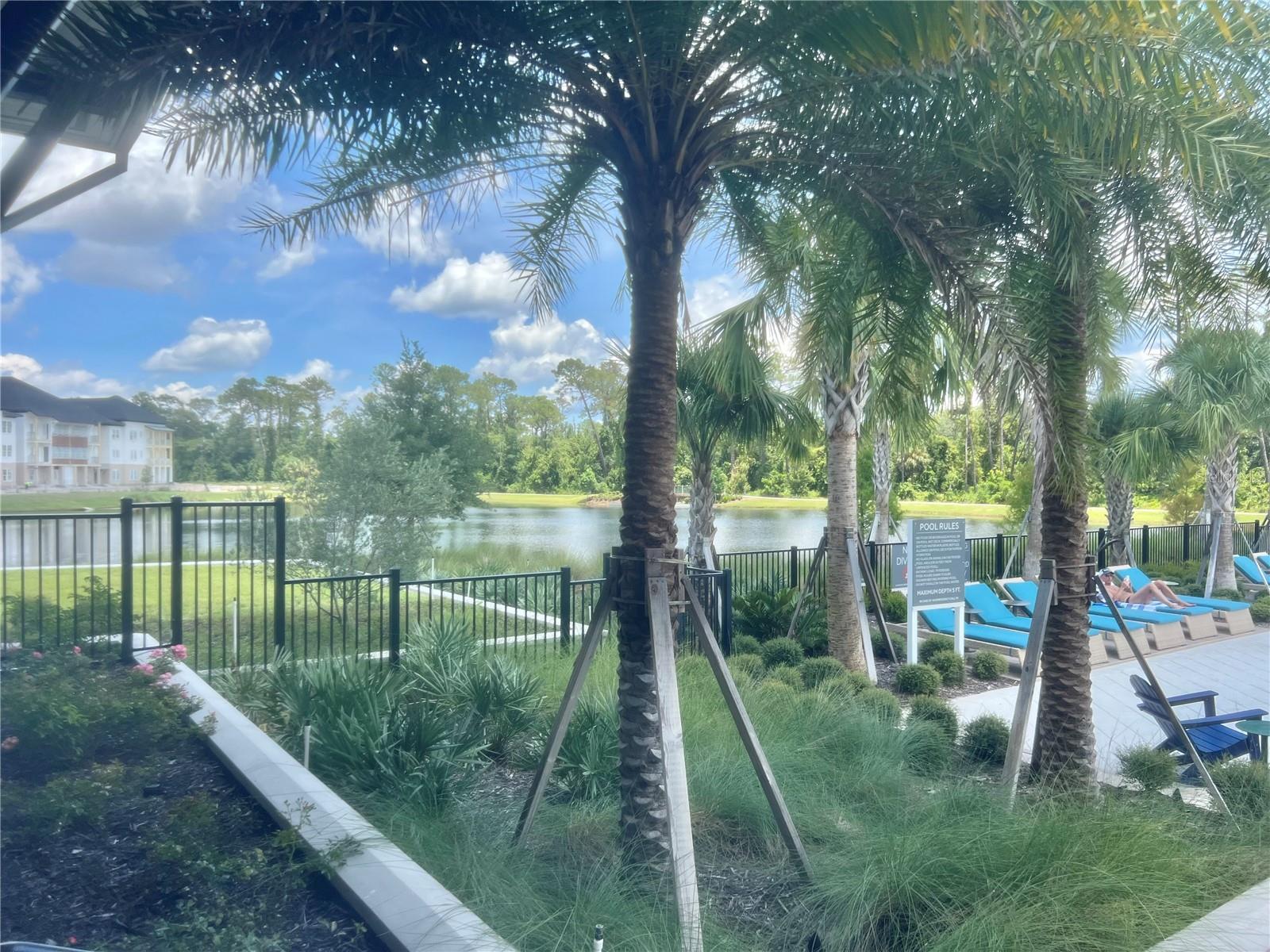 CELEBRATION ISLAND VILLAGE - Residential