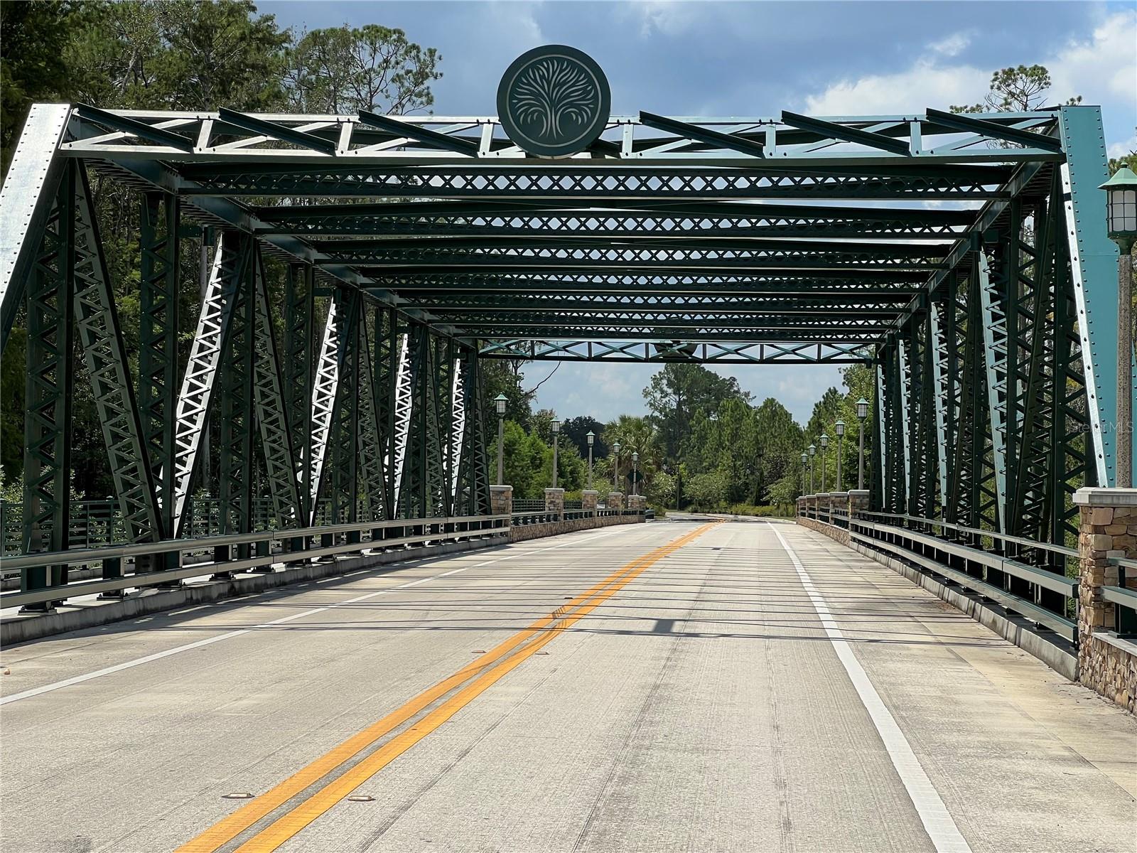 CELEBRATION ISLAND VILLAGE - Residential