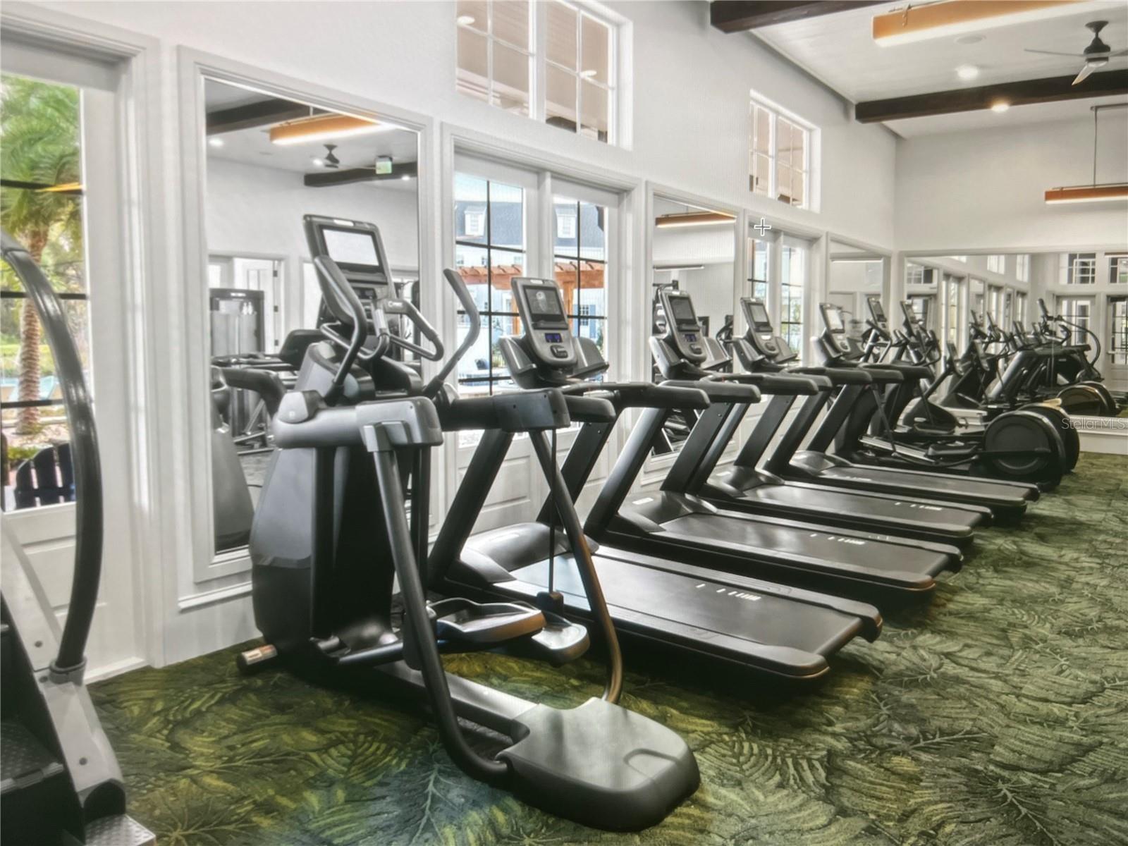 CELEBRATION ISLAND VILLAGE - Residential