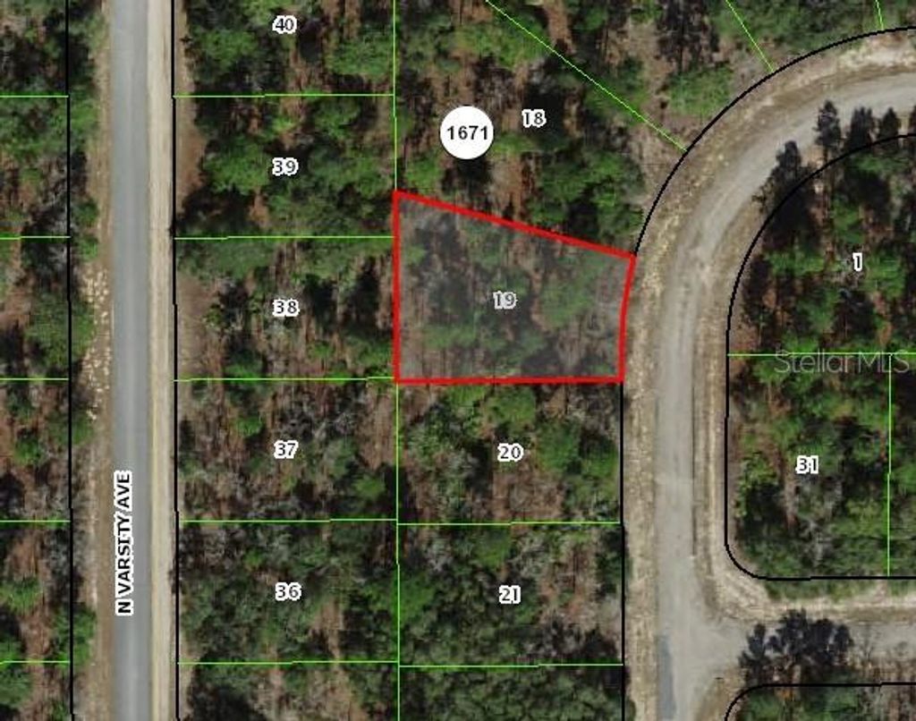 Photo of 1947 W Skyline Drive, Citrus Springs, FL 34434 (MLS # OM714010)