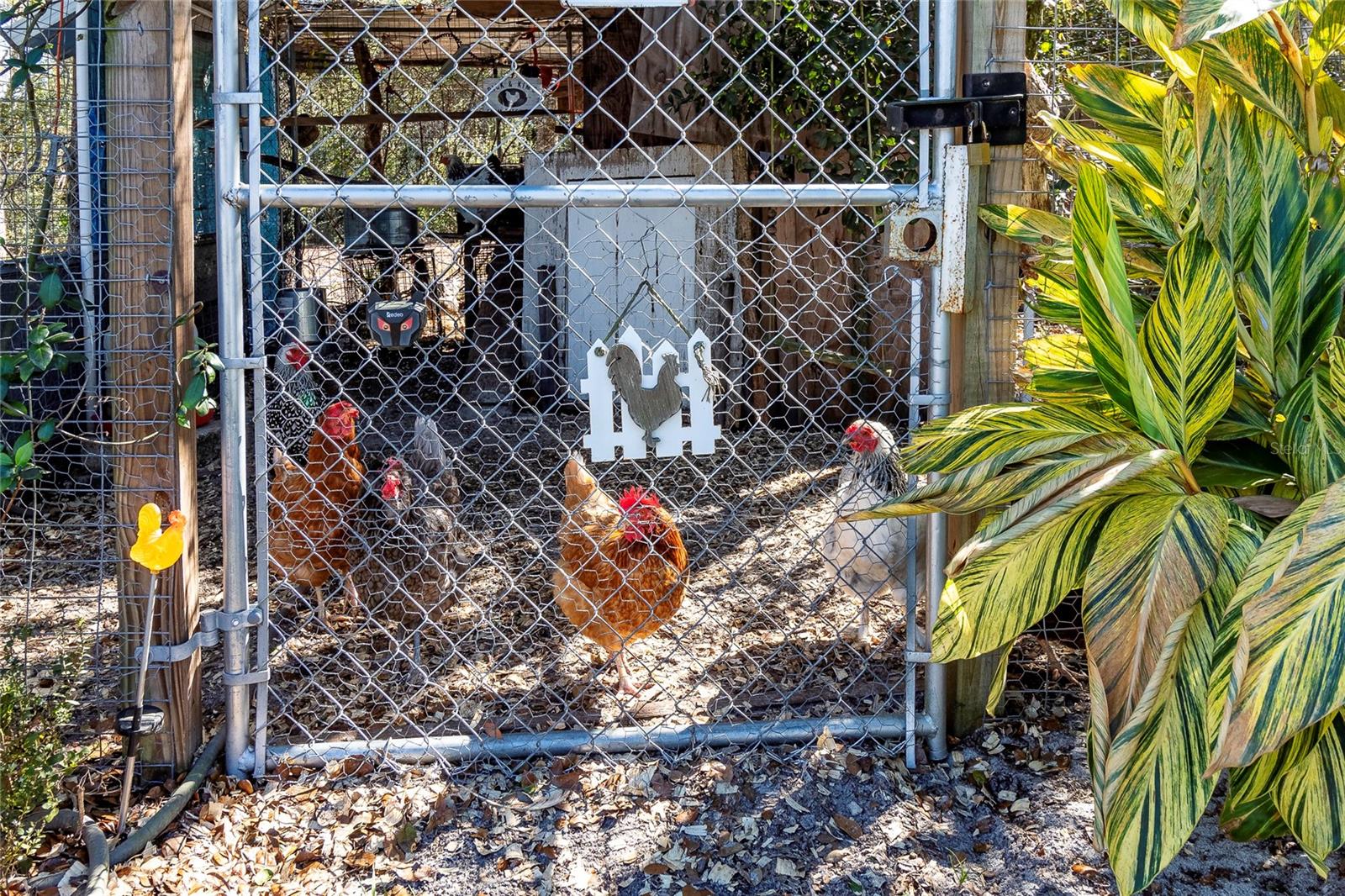 ORLANDIA HEIGHTS UNREC 241 - Residential