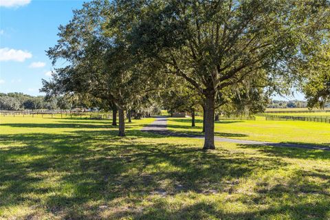 Tiny photo for 997 NW 63rd Court, Ocala, FL 34482 (MLS # OM712282)