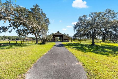 Tiny photo for 997 NW 63rd Court, Ocala, FL 34482 (MLS # OM712282)