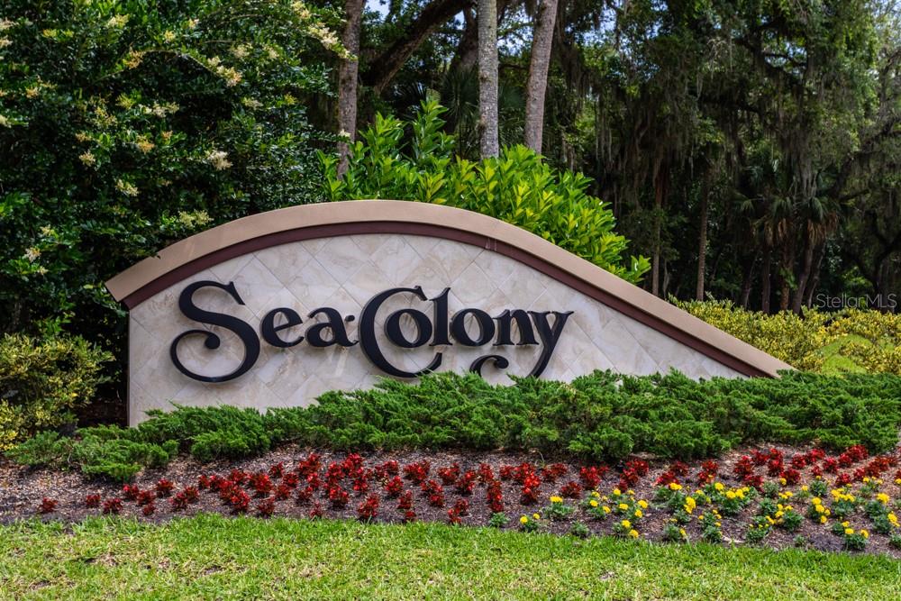 SEA COLONY - Residential