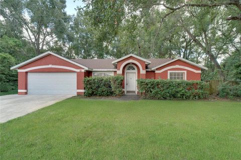 Photo of 1120 Dunbridge Street, Apopka, FL 32703 (MLS # O6348682)