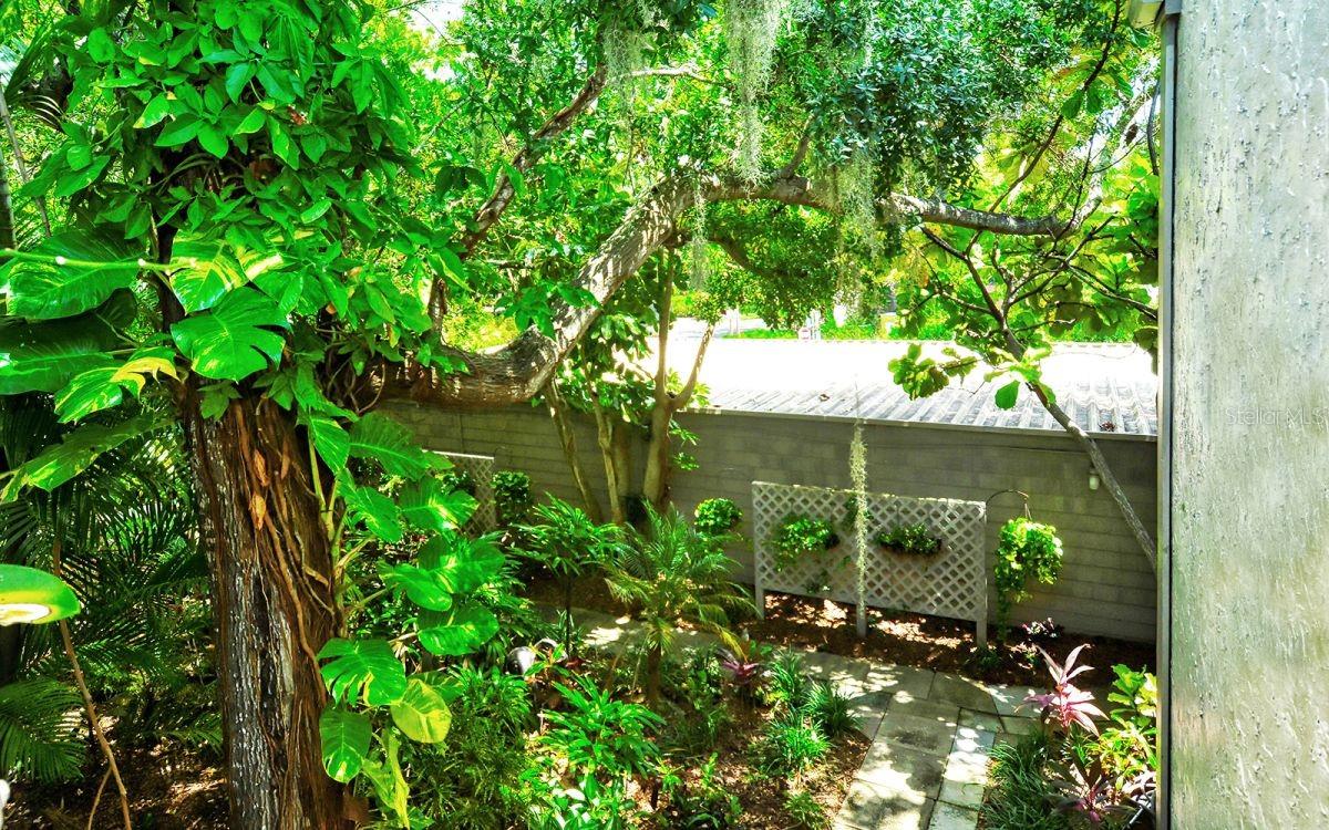 PELICAN COVE XII - Residential Lease