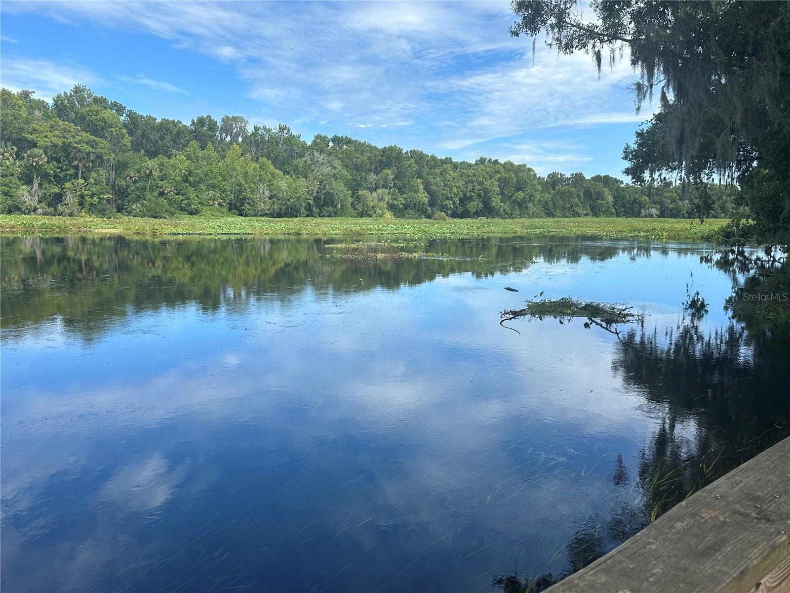 ESTATES AT WEKIVA PARK - Residential