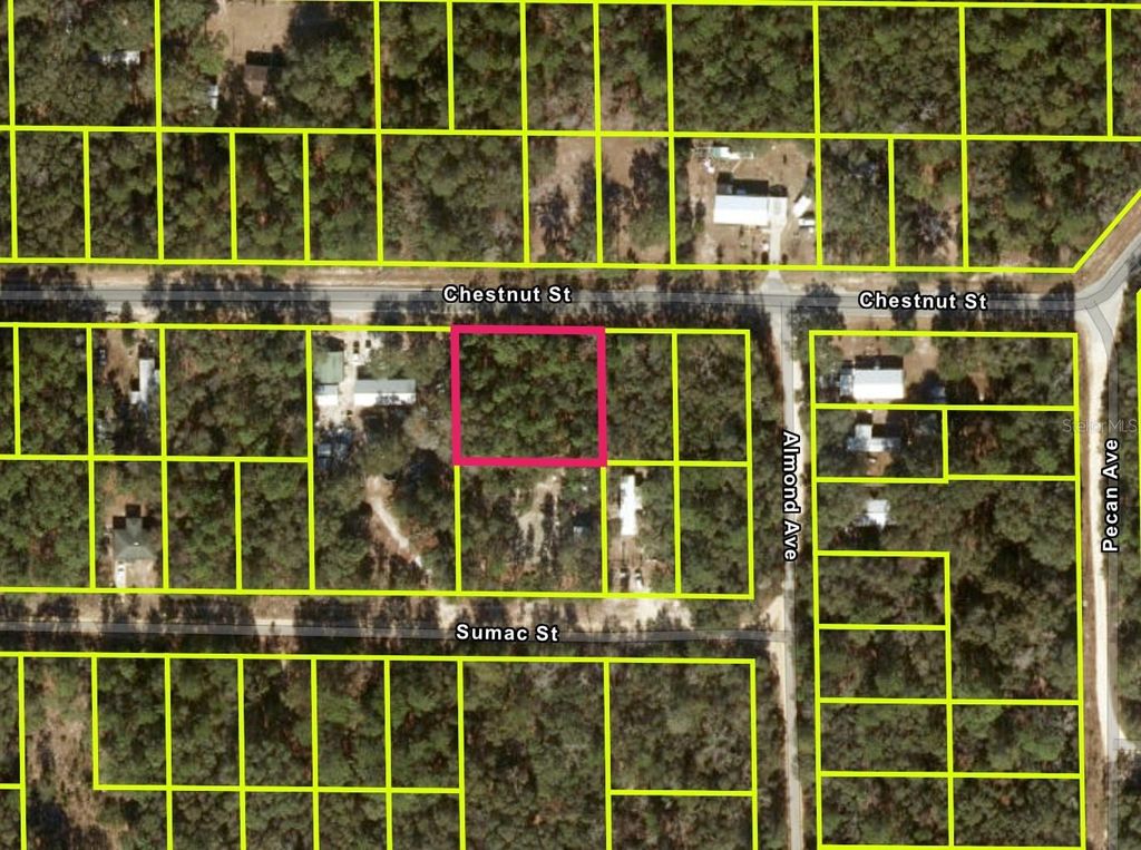 Photo of Chestnut Street, Interlachen, FL 32148 (MLS # O6346226)