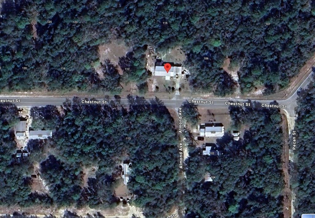 Photo of Chestnut Street, Interlachen, FL 32148 (MLS # O6346226)