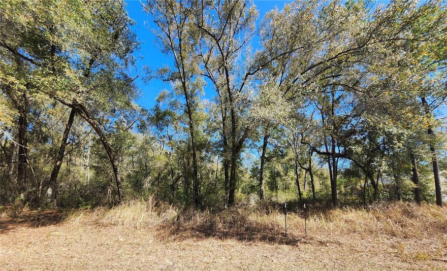 Looking for the perfect place to build your dream home? This beautiful vacant lot in the desirable community of Citrus Springs is ready for your vision!

 Property Highlights:
 Quiet residential neighborhood
 Paved road frontage
 No HOA fees
 Close to shopping, schools & medical facilities
 Easy access to Dunnellon, Crystal River & Ocala
 Near golf courses, parks & the famous Withlacoochee State Trail

Enjoy Florida’s natural beauty with nearby rivers, springs, boating, fishing, and outdoor recreation just minutes away. Whether you're ready to build now or invest for the future, this is a fantastic opportunity in a growing area.