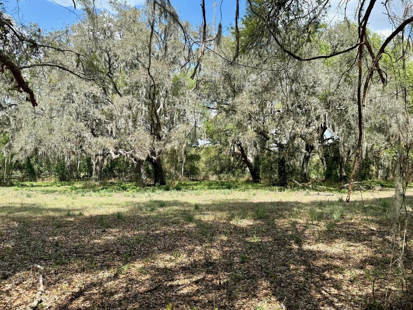 ACREAGE - Residential