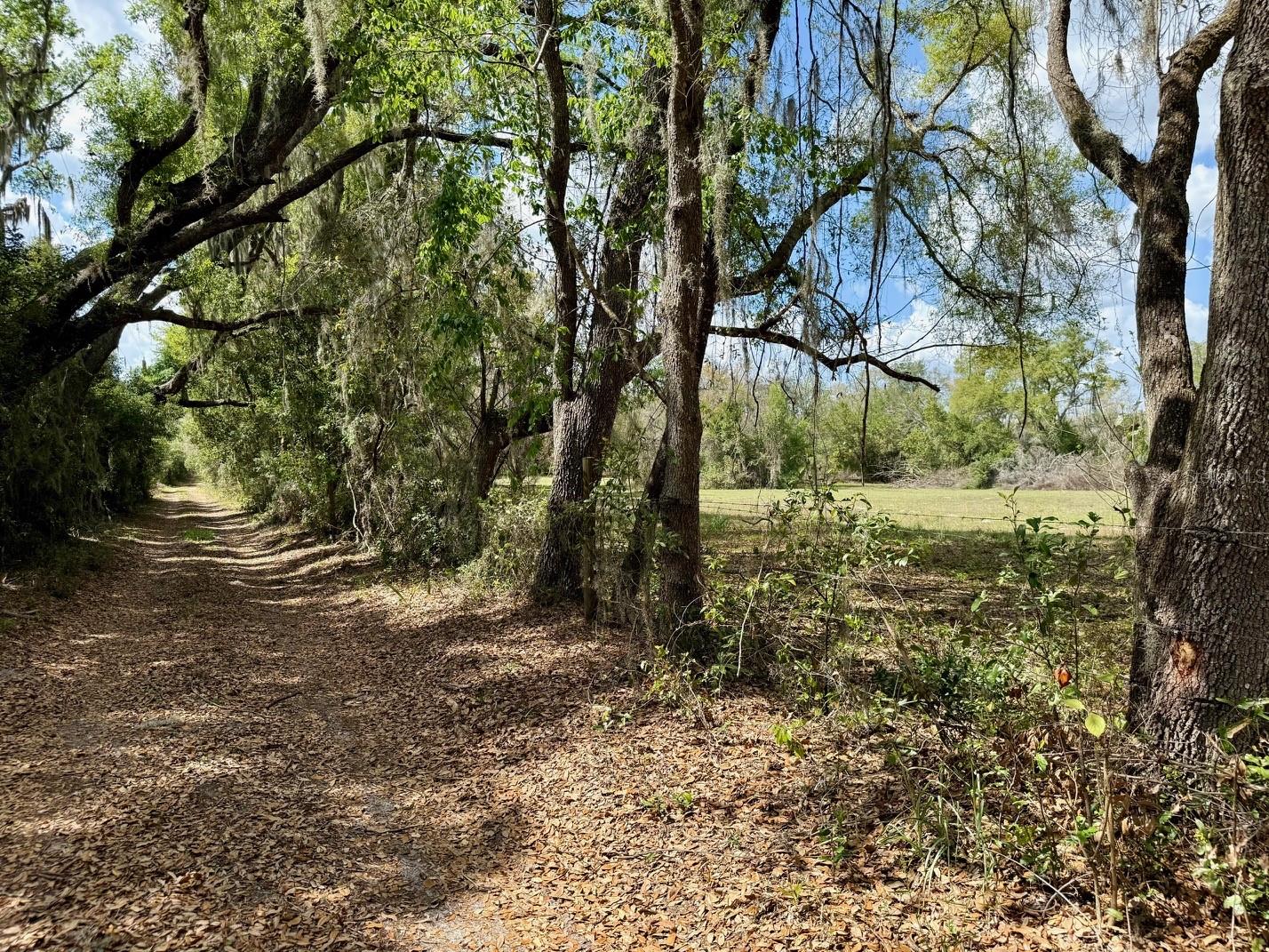 ACREAGE - Residential