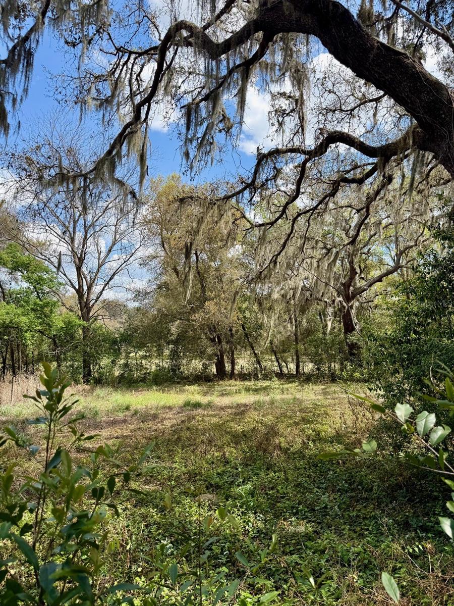 ACREAGE - Residential