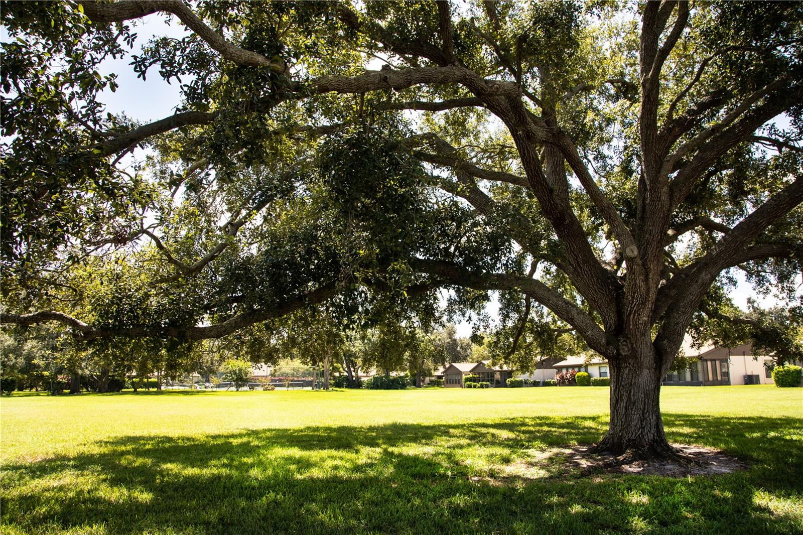 VILLAGE OAKS SEC C - Residential