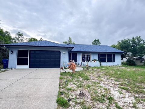 Photo of 12555 Brookside Street, Spring Hill, FL 34609 (MLS # O6422641)