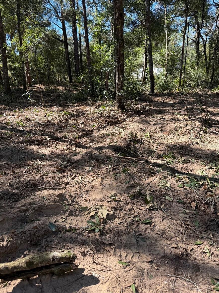 This is a 1.2-acre lot that has been cleared and partially fenced. It is zoned for single-family homes or manufactured homes. No HOA, No CDD or Deed restrictions. This lot offers country living while just one mile away from I 75 for an easy commute to Tampa, Orlando, and surrounding areas.