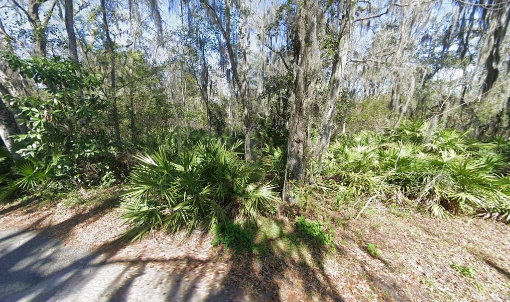 Photo of 211 Riverwood Drive, Fleming Island, FL 32003 (MLS # A4684381)