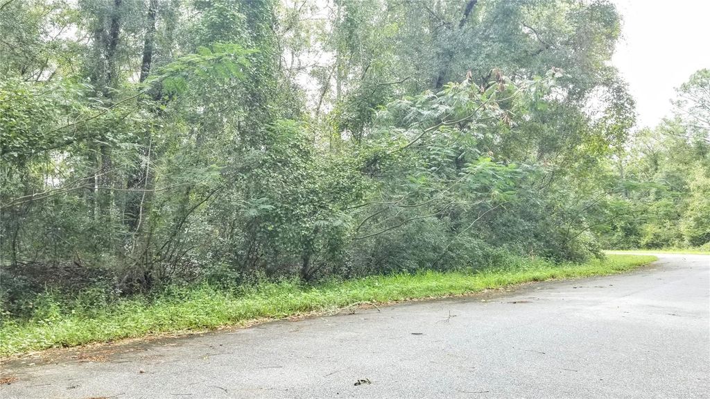 Photo of 9775 N Dearing Loop, Citrus Springs, FL 34434 (MLS # OM701939)