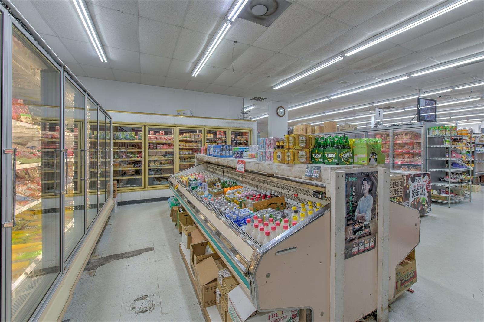 UNPLATTED - Business Opportunity