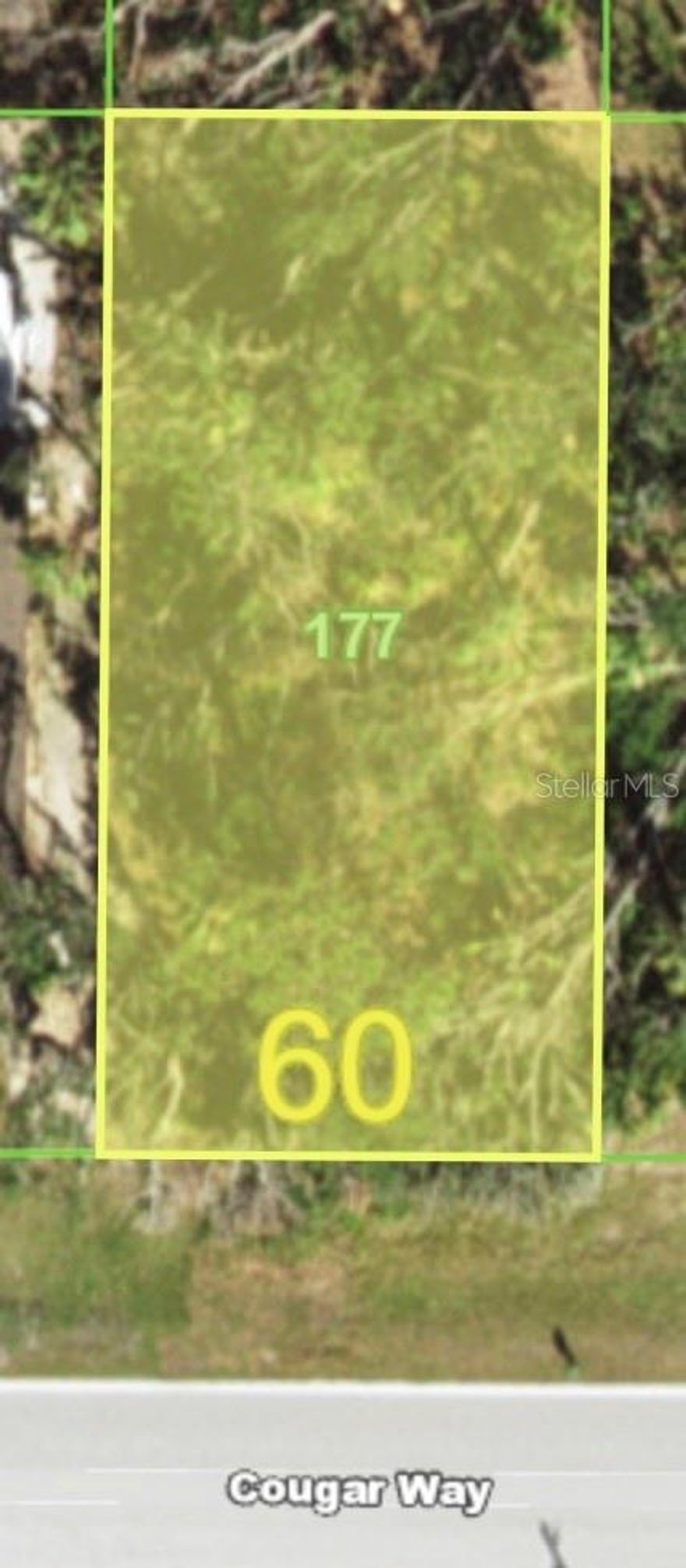 Beautiful lot to build your dream home. Close to all activities that you might desire.  Baseball games at the Tampa Bays spring training in Port Charlotte and the Atlanta Braves spring training in North Port, shopping, doctors, hospitals, and some beautiful beaches.