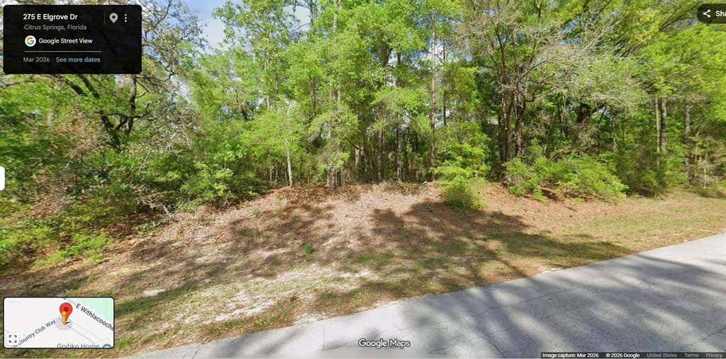 Photo of 275 E Elgrove Drive, Citrus Springs, FL 34434 (MLS # OM729779)