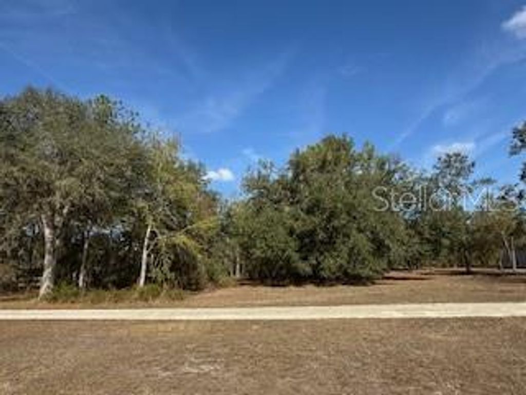 Photo of 7 SW 39th Drive, Lake Butler, FL 32054 (MLS # GC536465)