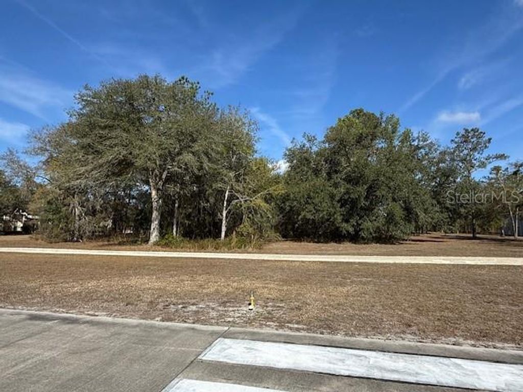 Photo of 7 SW 39th Drive, Lake Butler, FL 32054 (MLS # GC536465)