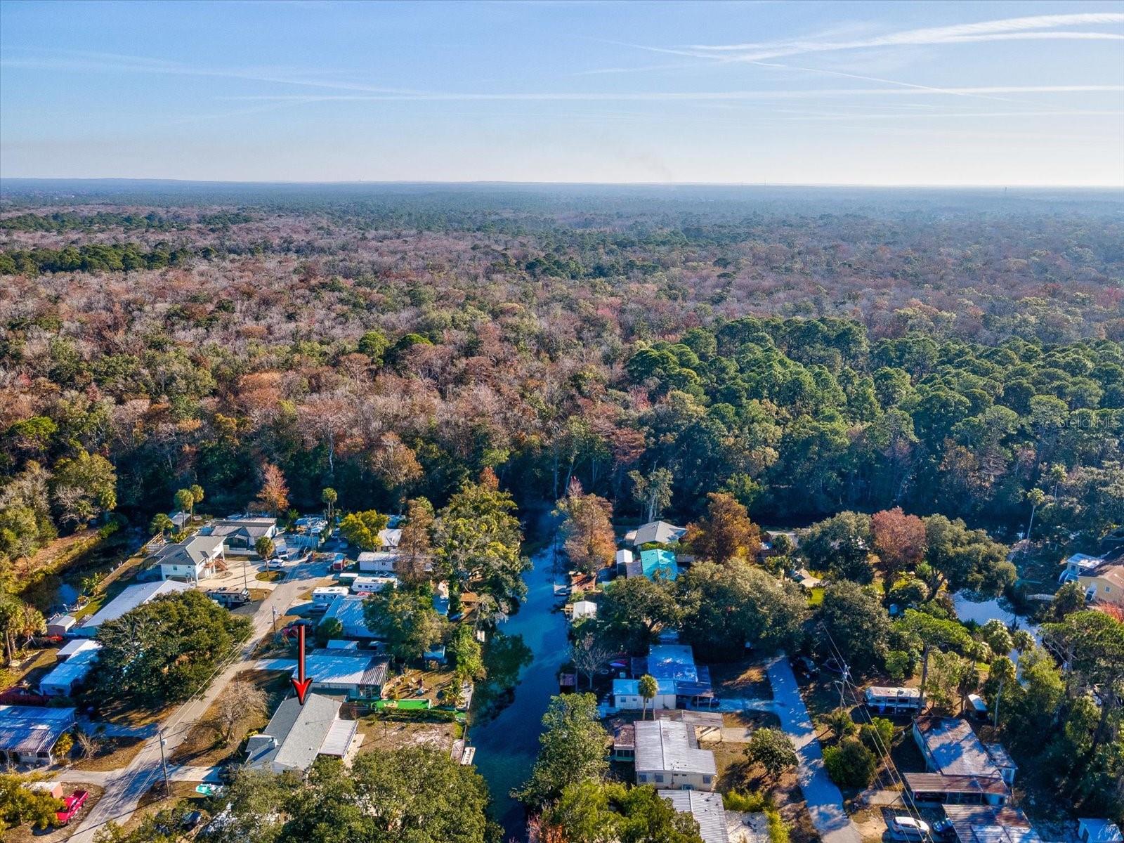 WEEKI WACHEE RIVER ESTATE - Residential