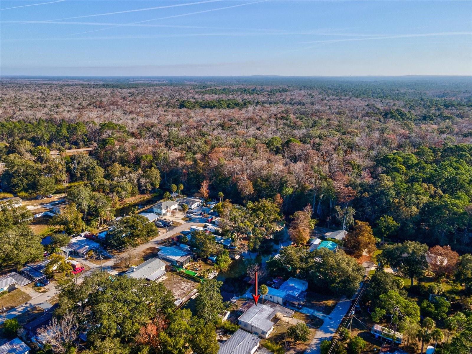 WEEKI WACHEE RIVER ESTATE - Residential