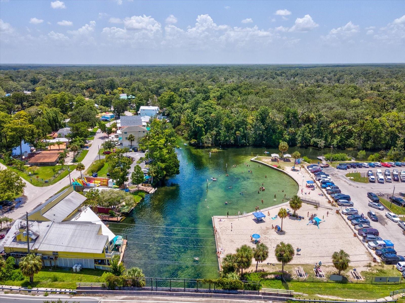 WEEKI WACHEE RIVER ESTATE - Residential