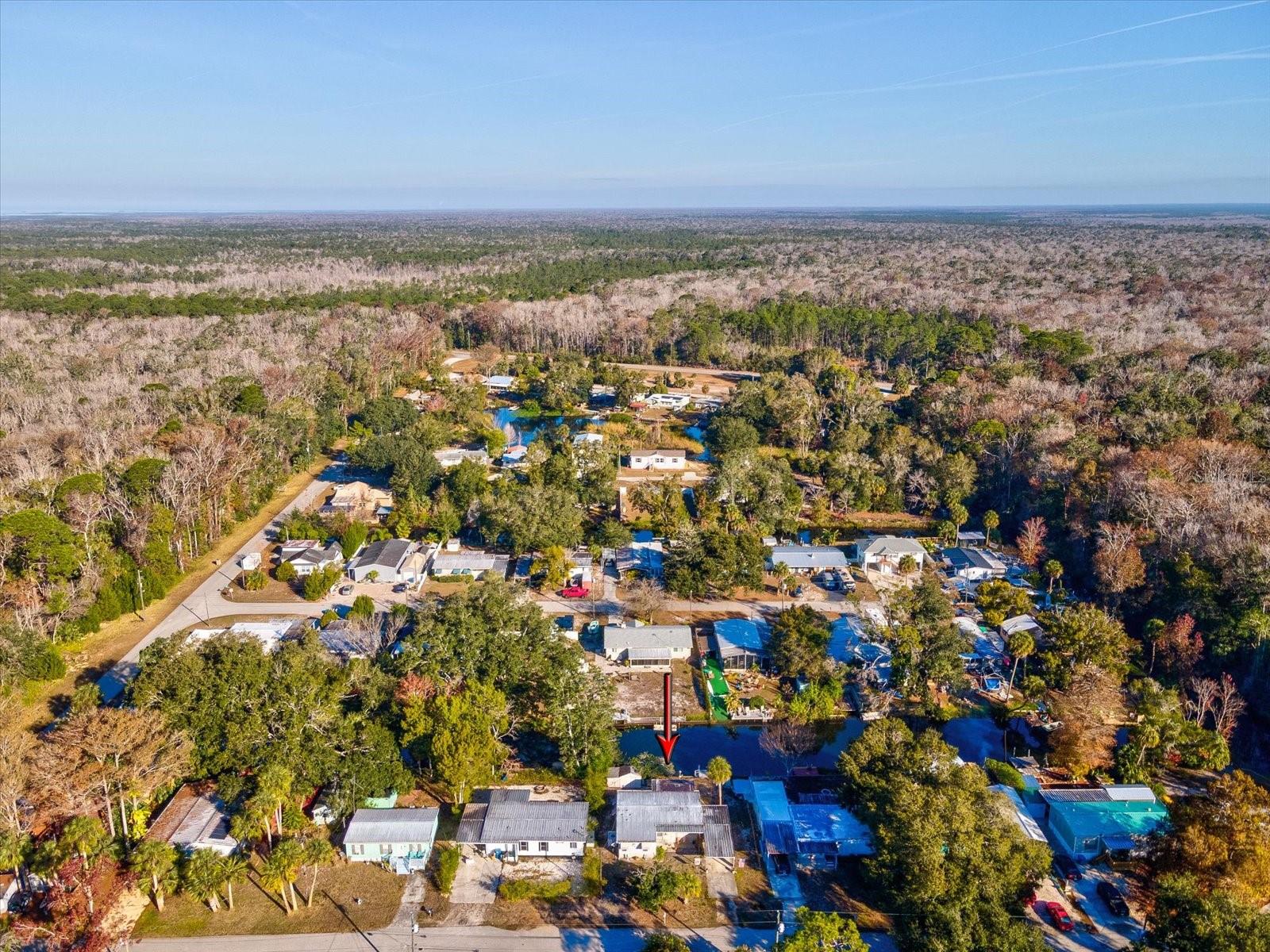 WEEKI WACHEE RIVER ESTATE - Residential