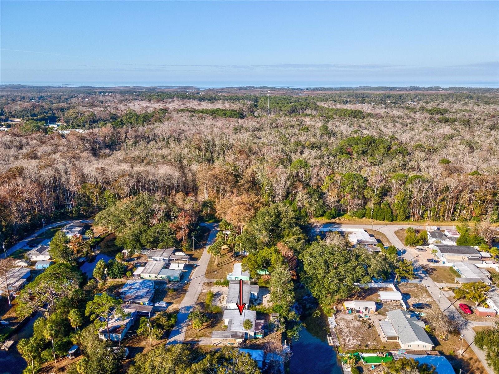 WEEKI WACHEE RIVER ESTATE - Residential