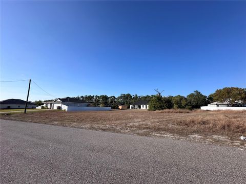 305 NE 31ST TERRACE CAPE CORAL FL 33909