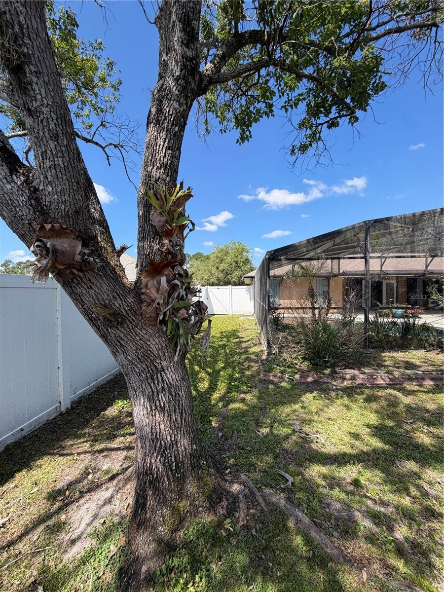 ROCKET CITY - Residential