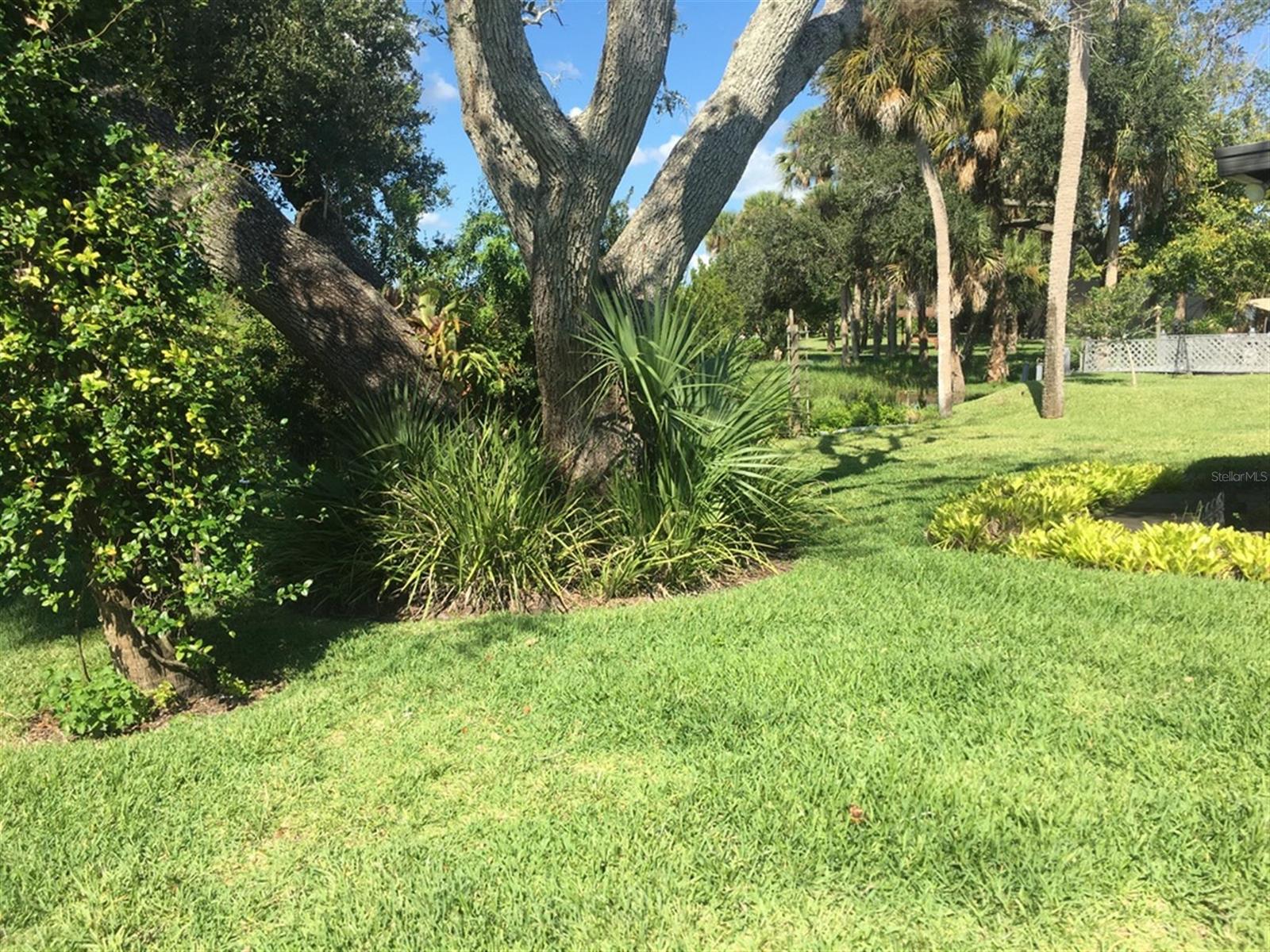 Pine Island Ph 02 - Residential