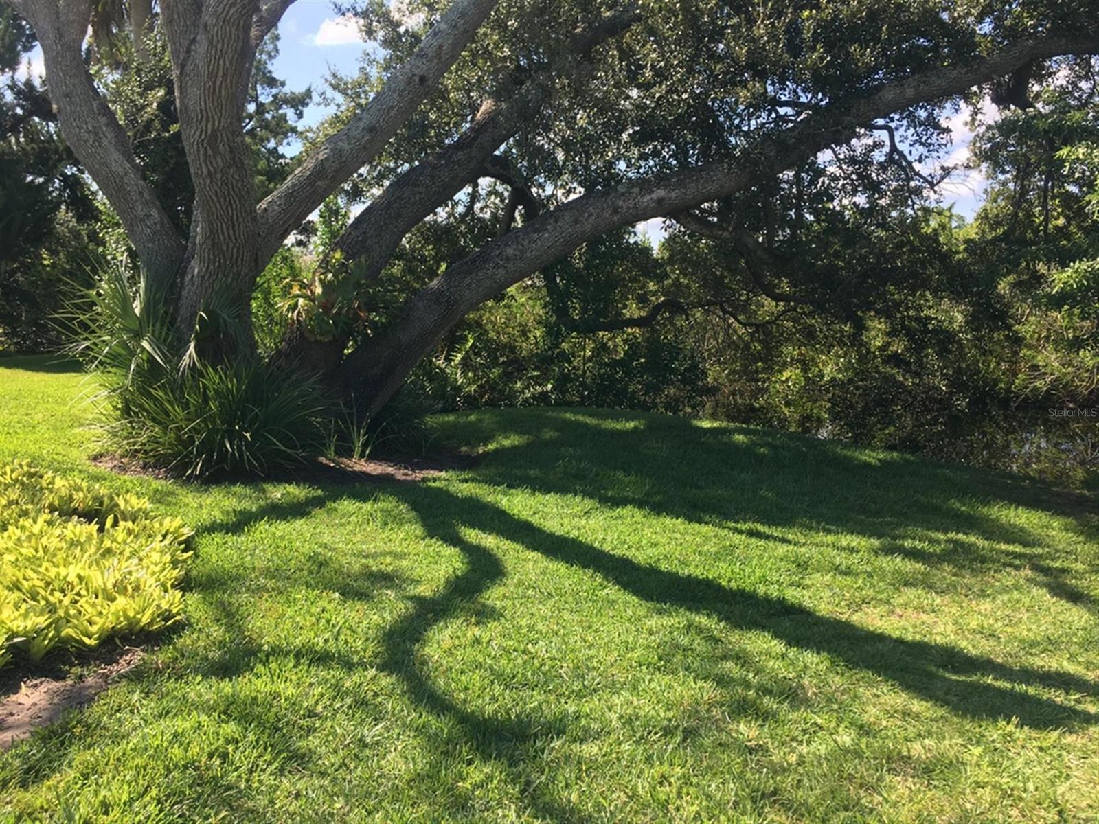 Pine Island Ph 02 - Residential