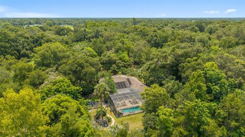 Tiny photo for 32511 County Road 437, Sorrento, FL 32776 (MLS # G5098991)