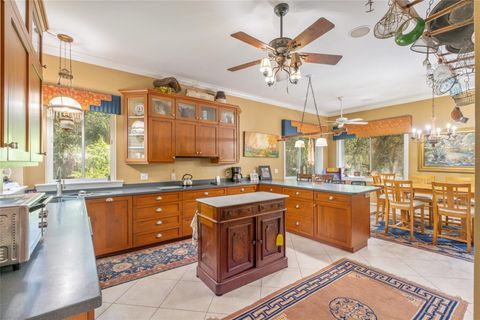 Tiny photo for 32511 County Road 437, Sorrento, FL 32776 (MLS # G5098991)
