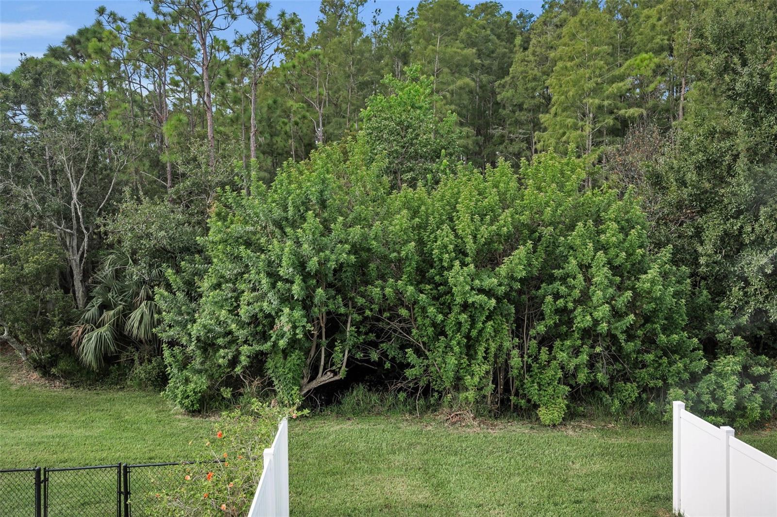 SUN KETCH TWNHMS AT CYPRESS LAKES - Residential