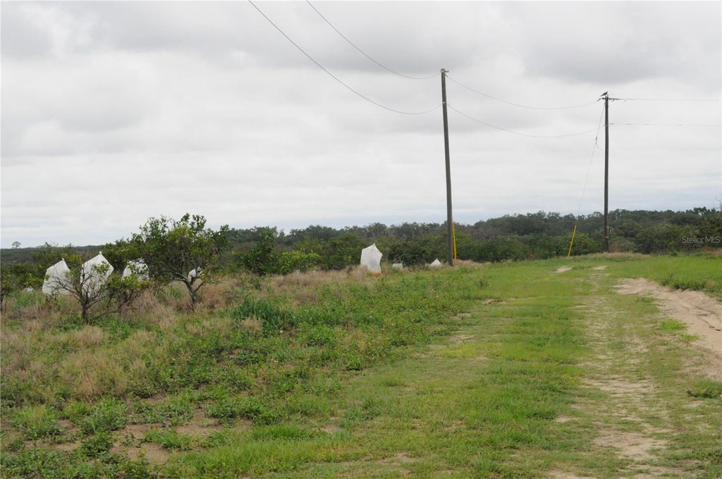 Photo of 3961 Byron Boulevard, Avon Park, FL 33825 (MLS # O6417732)