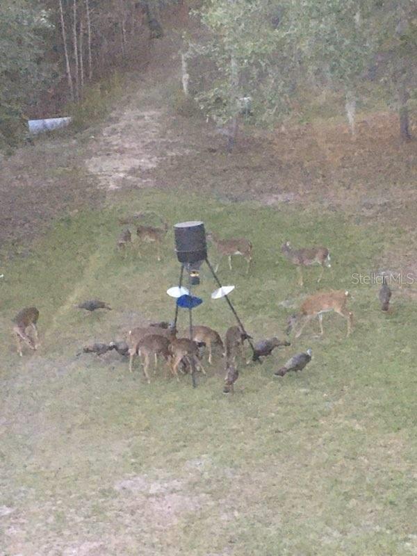 NOT IN SUBDIVISION - Residential