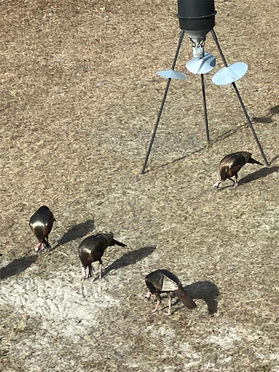 NOT IN SUBDIVISION - Residential