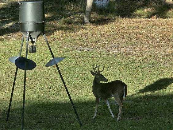 NOT IN SUBDIVISION - Residential