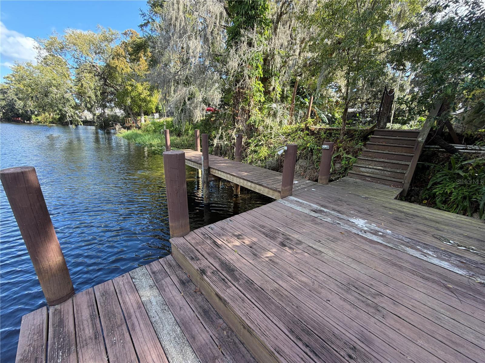 TEMPLE TERRACE ESTATES - Residential Lease