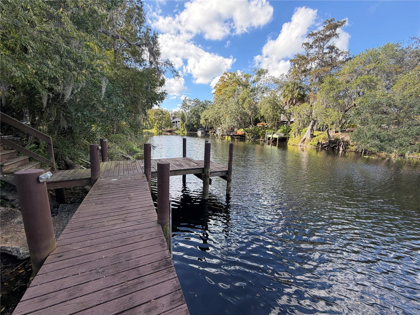 TEMPLE TERRACE ESTATES - Residential Lease