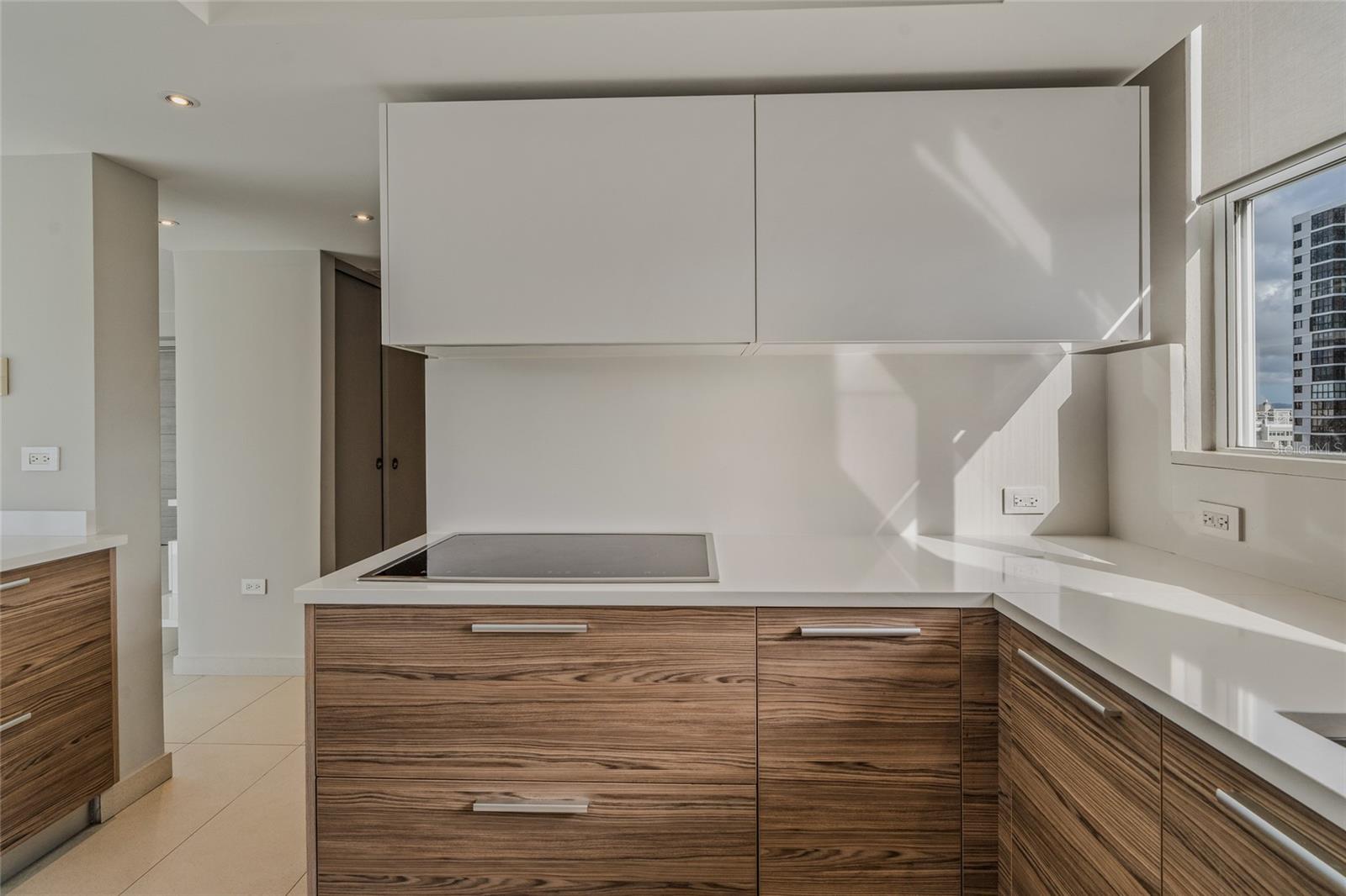 ASHFORD PARK CONDOMINIUM - Residential