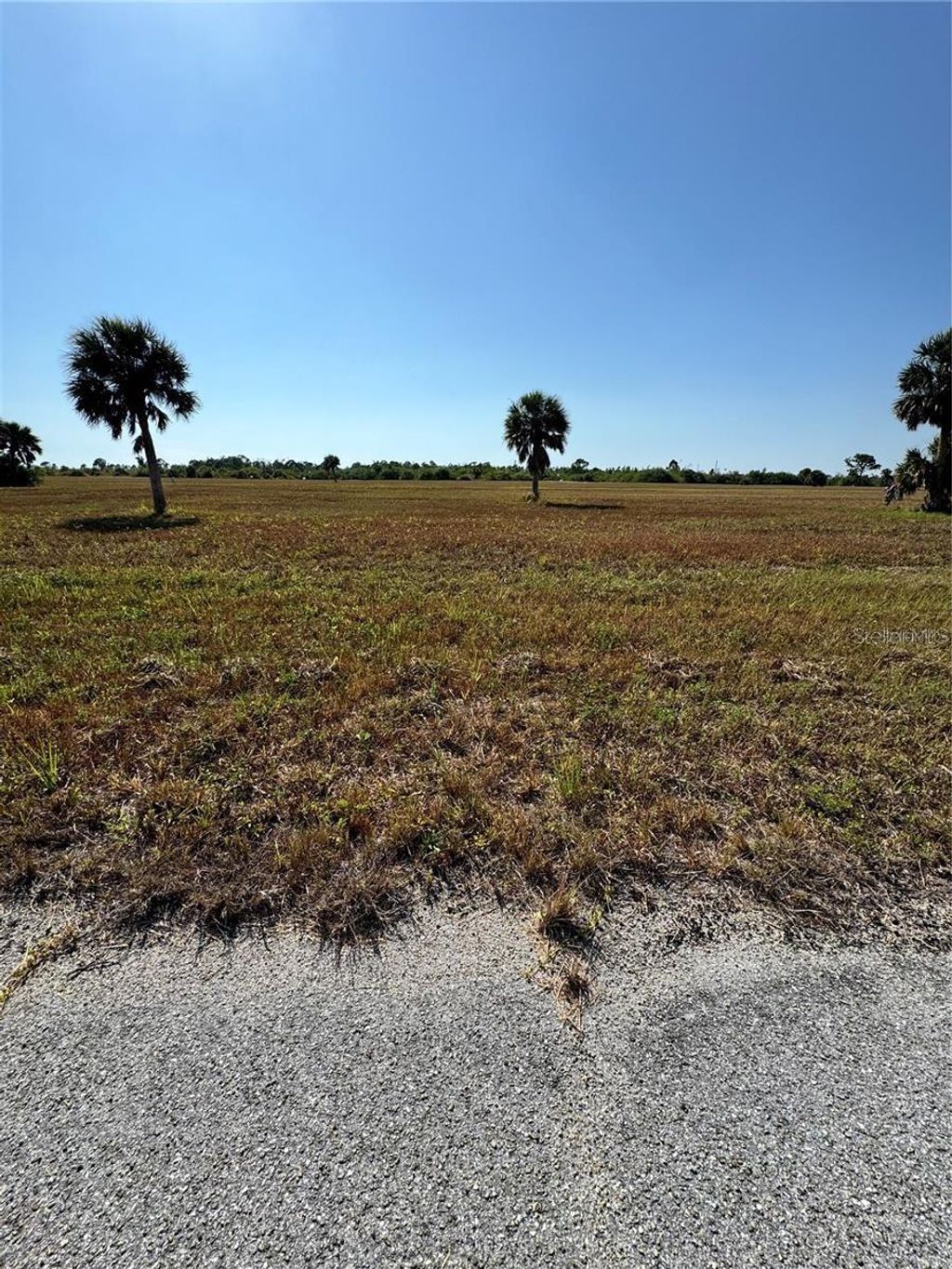 Photo of 12496 Toadfish Court, Placida, FL 33946 (MLS # O6287574)
