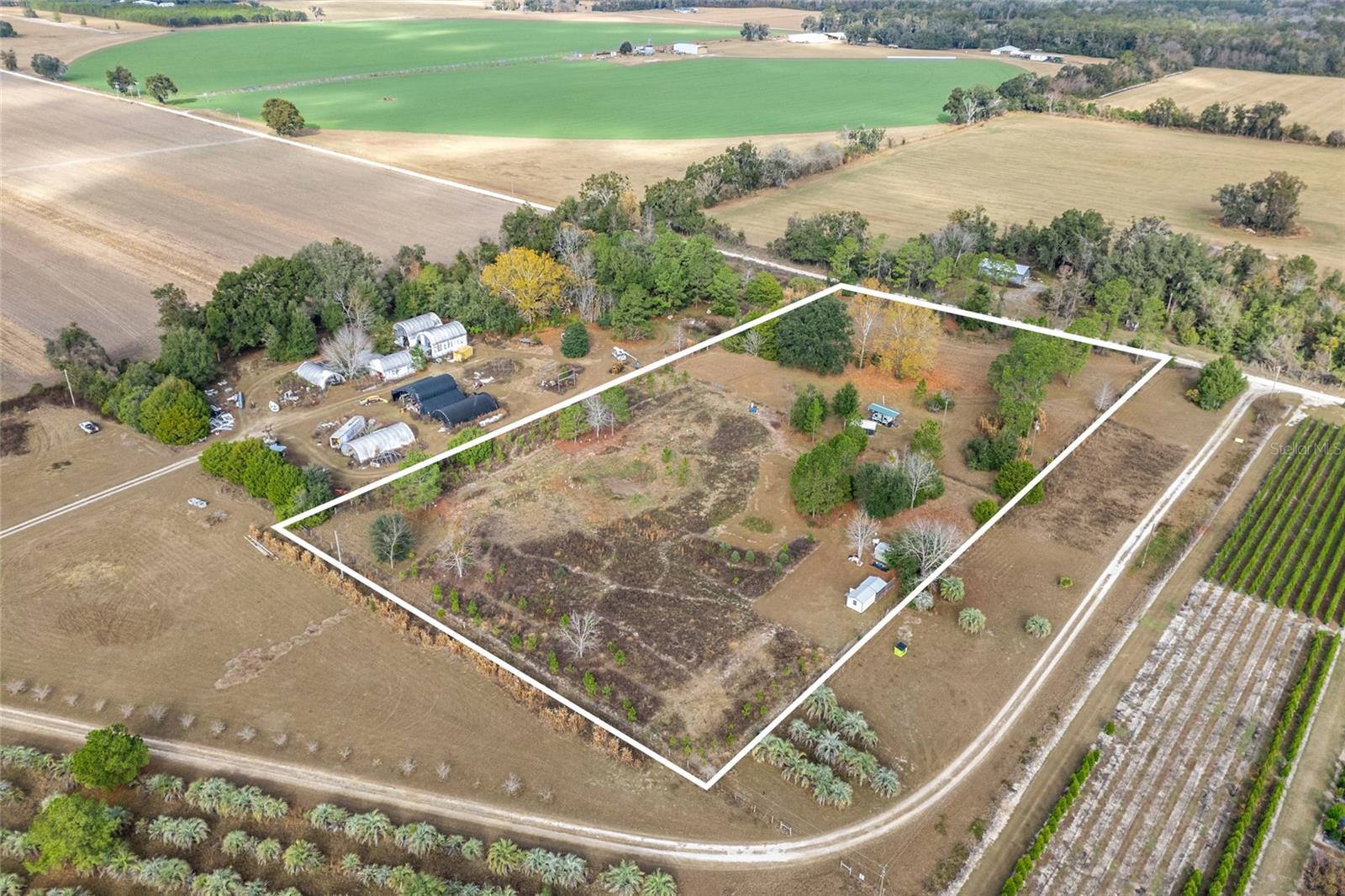 BLAND PLANTATION - Land